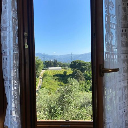 Casolare Di Adele Villa Montecarlo Eksteriør billede