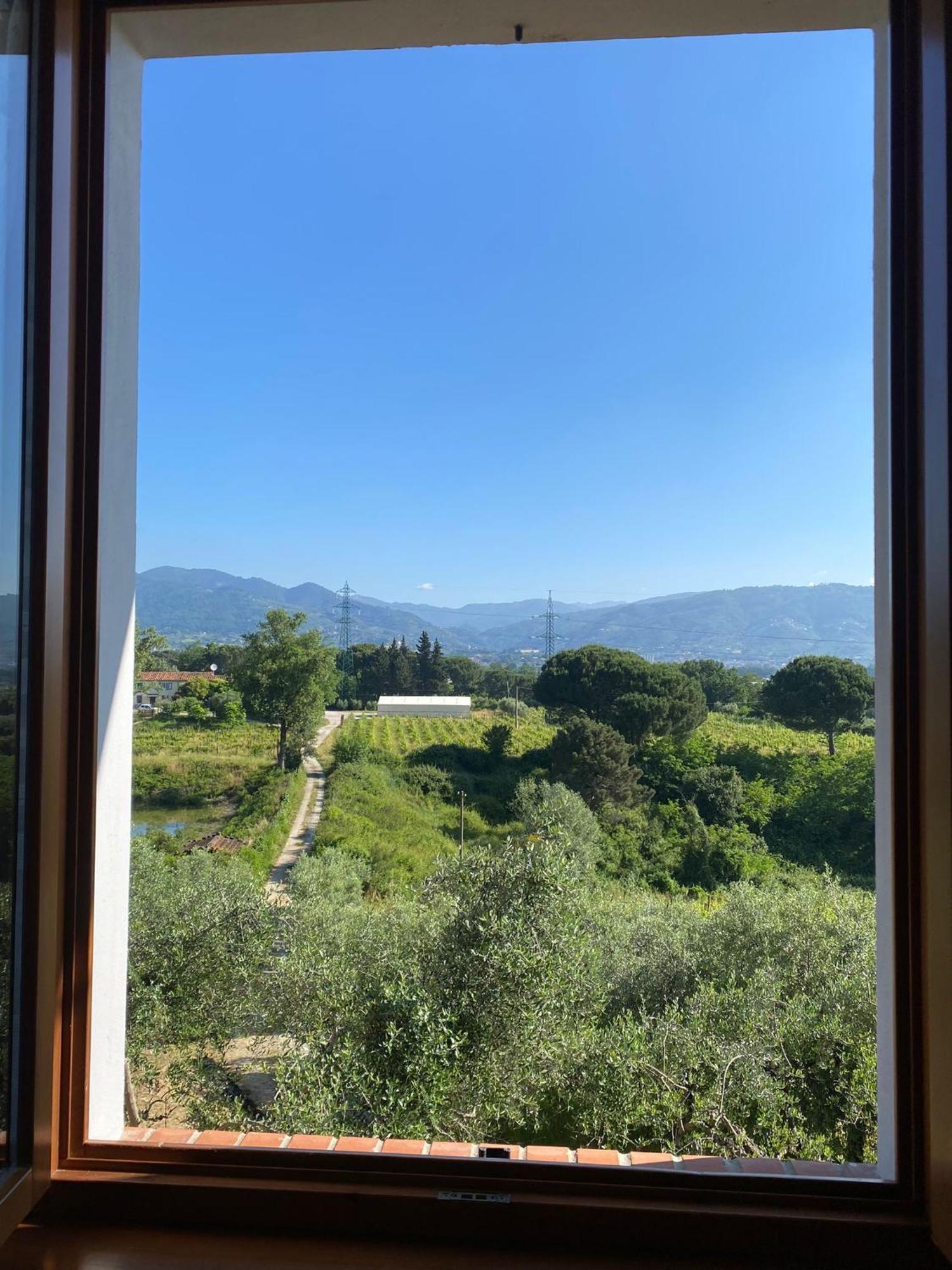 Casolare Di Adele Villa Montecarlo Eksteriør billede