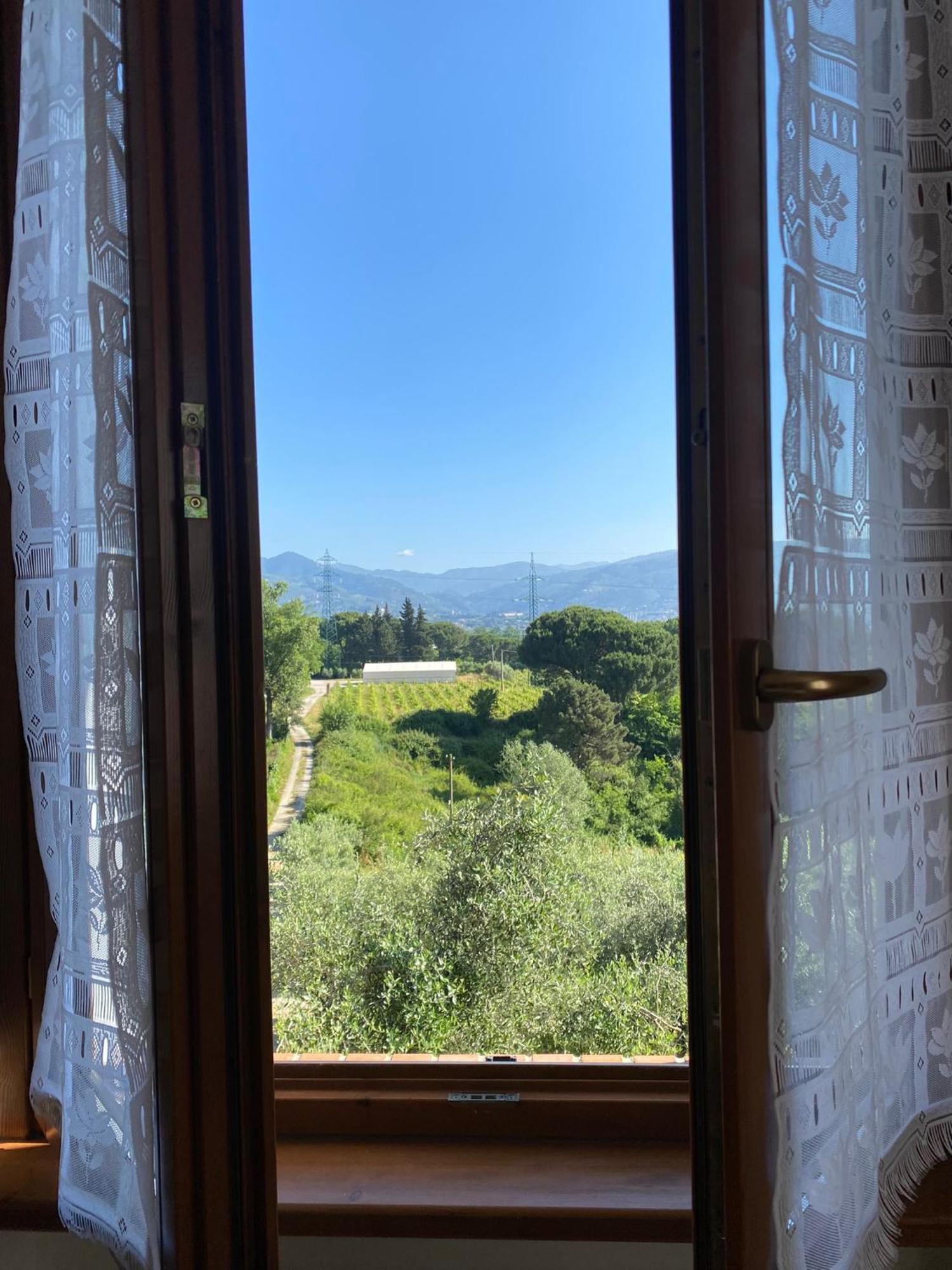 Casolare Di Adele Villa Montecarlo Eksteriør billede